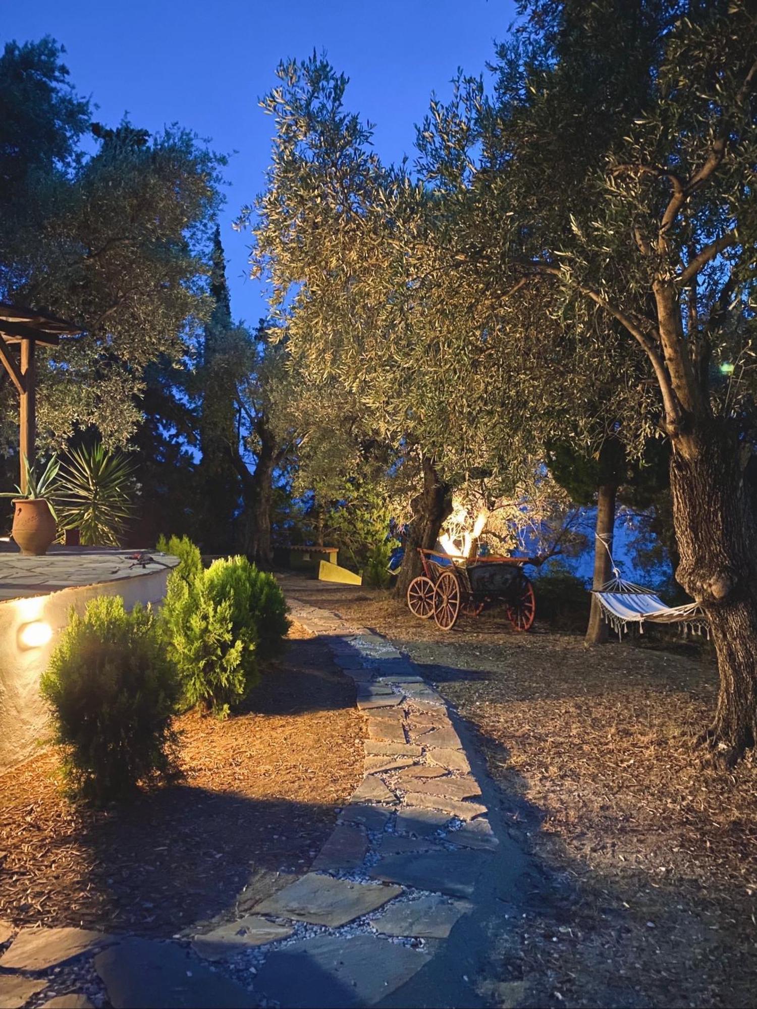 Sunset Of Pelion Βίλα Κάτω Γατζέα Εξωτερικό φωτογραφία